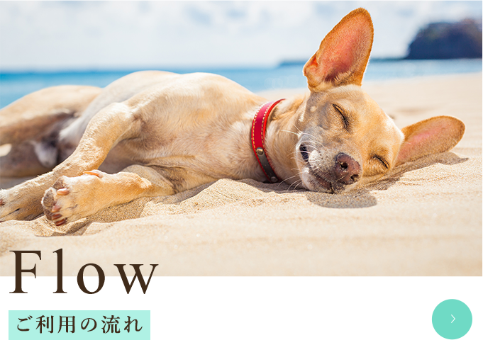 ご利用の流れ